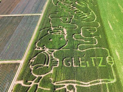 Das Mais-Labyrinth von Hof Lauenroth in Adenstedt.